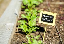 Why Garden Markers and Plant Labels are Good in the Garden