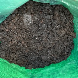 Growing potatoes in containers. How much soil to cover them