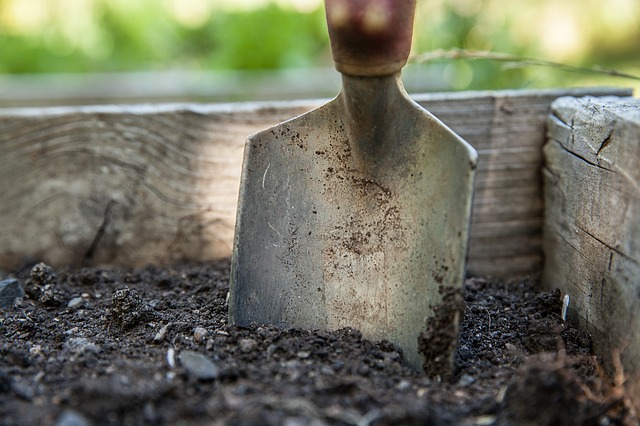 How To Use Wood Ash In The Garden Kids Do Gardening