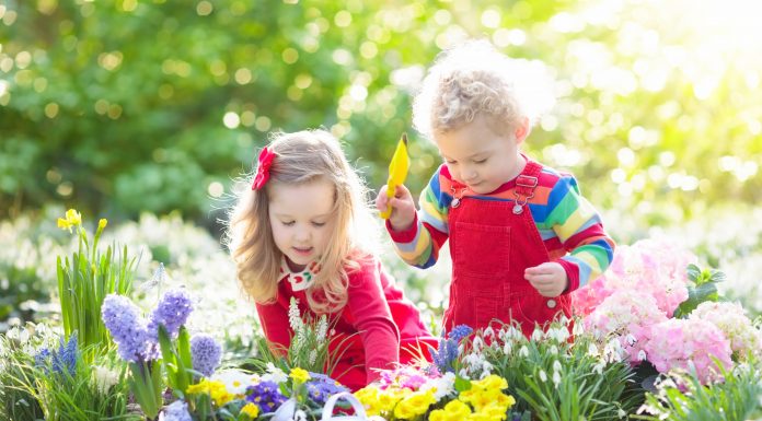 Garden plants that are safe for children Kids planting flowers
