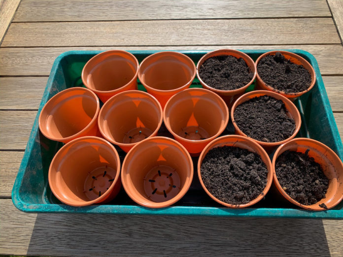 Add compost to pots